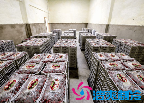 樱桃气调建造完成后有哪些储存方法和步骤？_深夜在线视频制冷