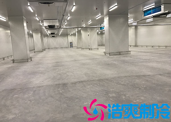 福建大中型肉品深夜免费网站建造标准.jpg