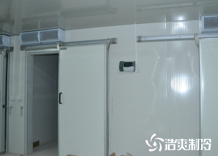 冷冻深夜免费网站建造_深夜在线视频制冷